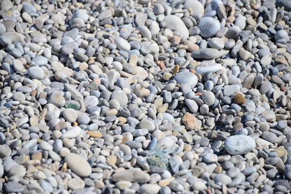 Steine Mittelmeer Spain — Fotografia de Stock