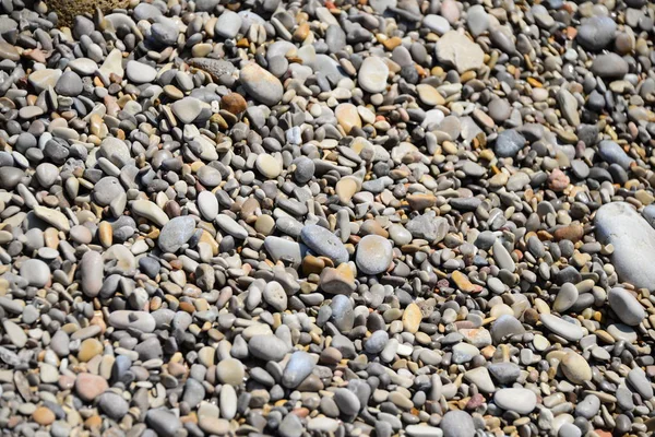 Tegels Het Strand Grijze Rotsen — Stockfoto