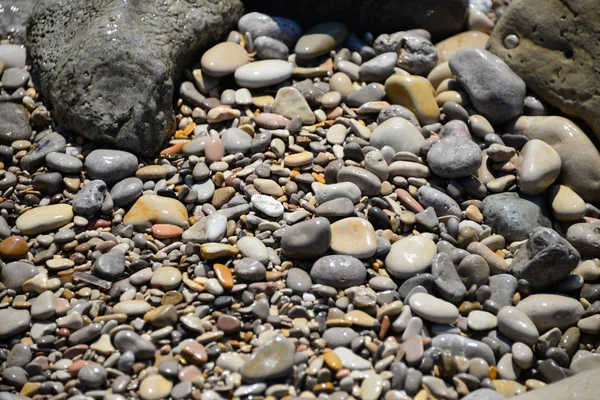Pavimentazione Pietre Sulla Spiaggia Rocce Grigie — Foto Stock