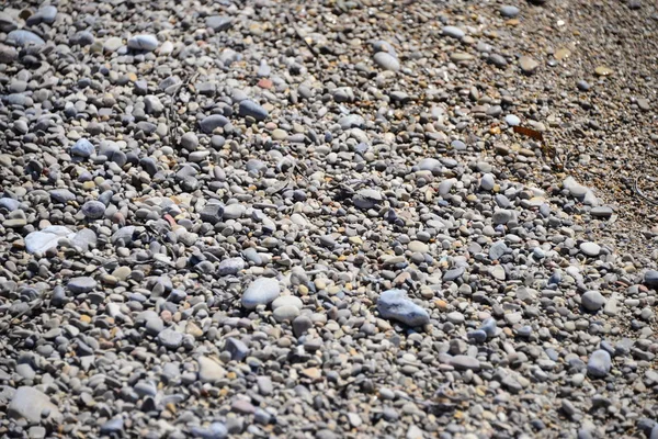 Pavimentazione Pietre Sulla Spiaggia Rocce Grigie — Foto Stock