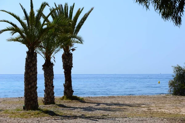 Stenar Medelhavet Spanien — Stockfoto