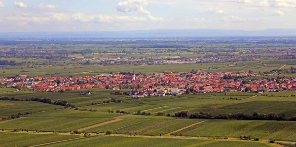 Över Maikammer Övre Rinedalen — Stockfoto