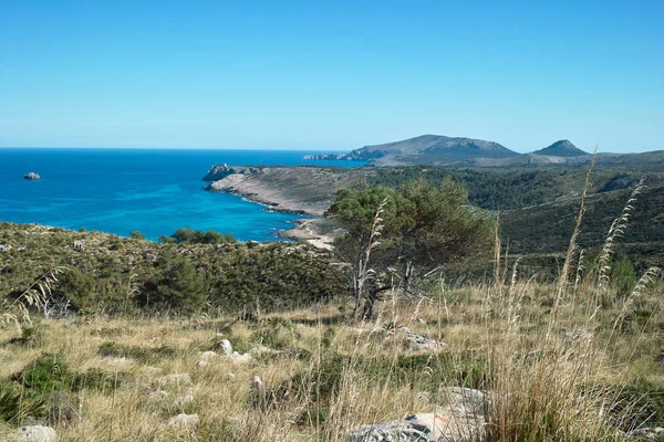 Mallorca Zwischen Cap Ferrutx Und Torre Albarca — Stockfoto