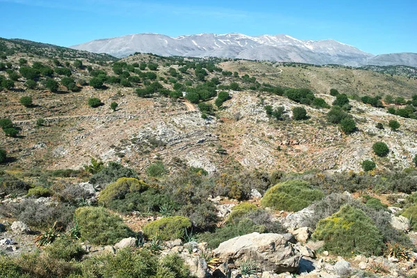 Creta Las Montañas Psiloritis Monte Ida —  Fotos de Stock
