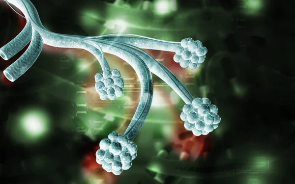 Alveolün Renk Arkaplanındaki Dijital Illüstrasyonu — Stok fotoğraf