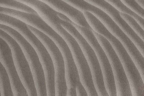 Dettaglio Una Duna Sabbia — Foto Stock