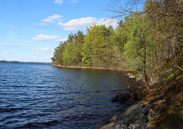 Jezero Rozpouští Jižním Švédsku — Stock fotografie