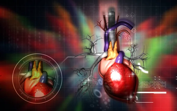 Digital Illustration Heart Colour Background — Stock Photo, Image