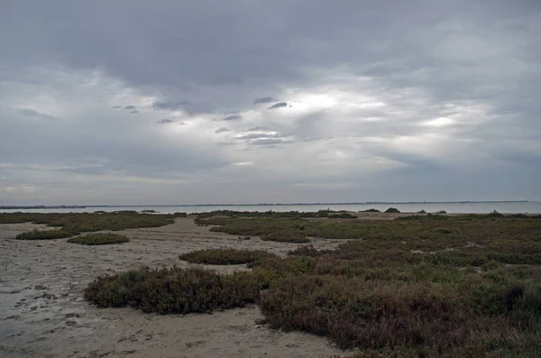 Blick Auf Das Meer Sommer — Stockfoto