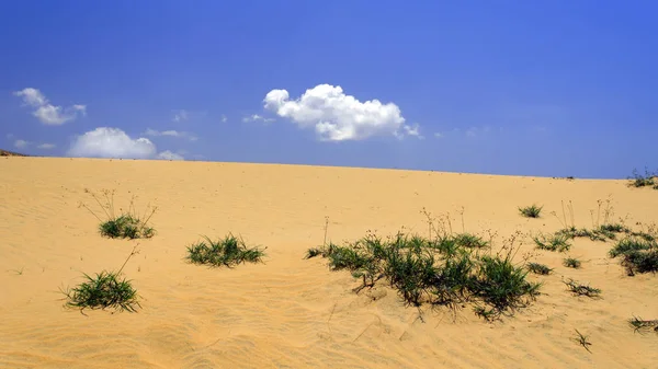 Dunes Grass Och Sky Nära Mui Vietnam — Stockfoto