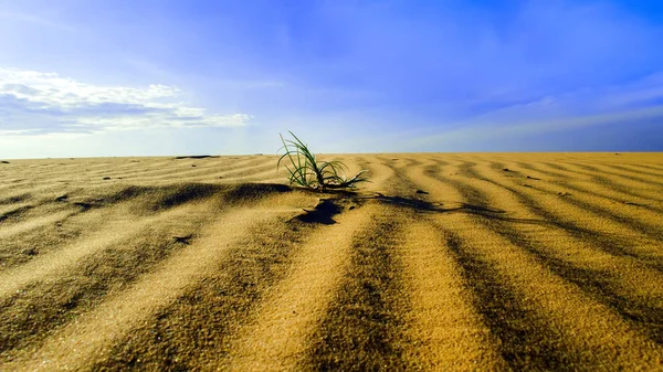 Red Sand Dunes Furrows Bij Mui Vietnam — Stockfoto