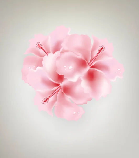 Grauer Hintergrund Mit Rosa Blüten — Stockfoto