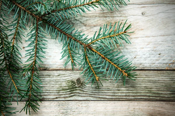 圣诞背景 带有天然松枝 覆盖在风化的乡村木地板上 木纹质感 — 图库照片