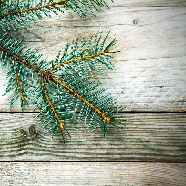 Pine Branch Extending Top Left Corner Rustic Wooden Board Background — Stock Photo, Image