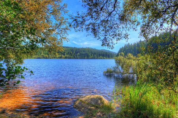 Schöne Herbstlandschaft Mit See — Stockfoto