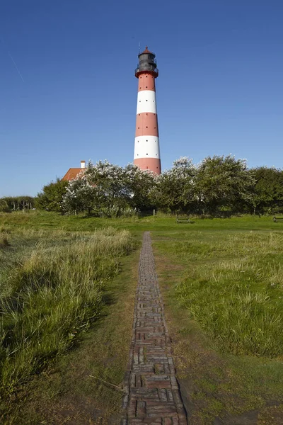 Τοπίο Αλμυρά Λιβάδια Anad Σπίτι Φως Westerhever Βρίσκεται Κοντά Στην — Φωτογραφία Αρχείου