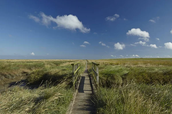 Pittoresk Uitzicht Buitenwereld — Stockfoto