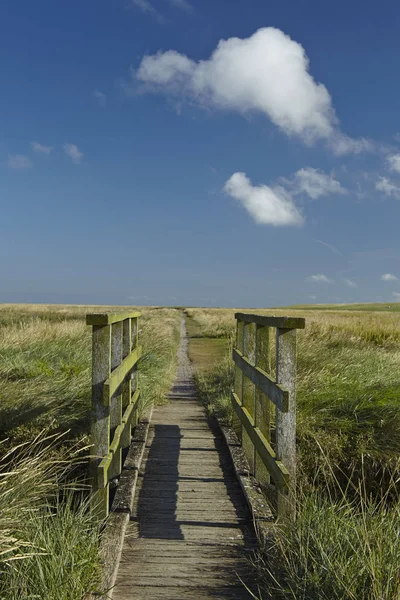 Landschap Met Zoutweiden Het Licht Huis Westerhever Gelegen Nabij Kust — Stockfoto