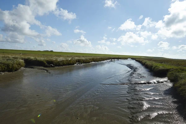 Landskap Med Salta Ängar Anad Fyren Westerhever Ligger Nära Kusten — Stockfoto