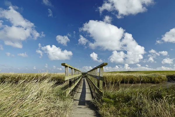 Krajina Slanými Loukami Anad Světlý Dům Westerhever Nachází Blízkosti Pobřeží — Stock fotografie