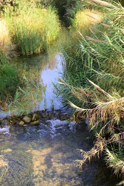 Gyönyörű Panoráma Kép Egy Vízesés Spanyolországban Vízesés Del Moli Dels — Stock Fotó