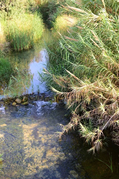 Piękne Zdjęcie Panoramiczne Wodospadem Hiszpanii Wodospad Del Moli Dels Murris — Zdjęcie stockowe