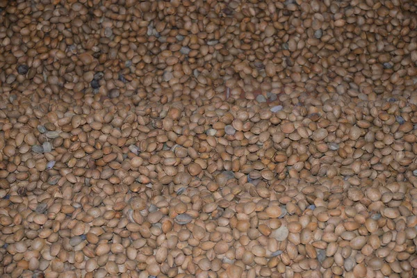 Harvested Almonds Brown Nuts — Stock Photo, Image