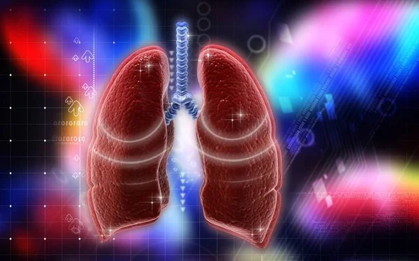 Digital Illustration Human Lungs Colour Background — Stock Photo, Image