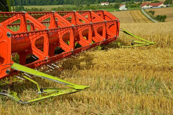 Őszi Szüret Szelektív Fókusz — Stock Fotó