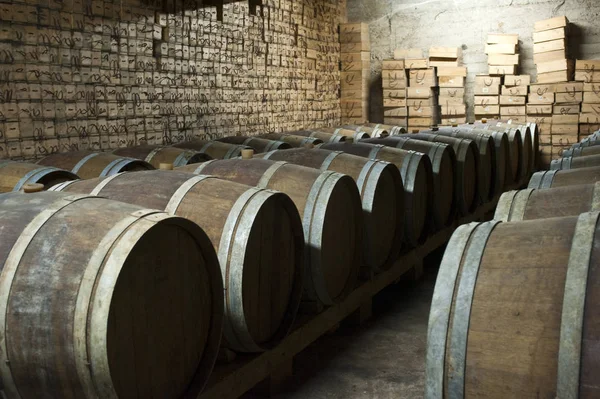 Weinkeller Libanon — Stockfoto