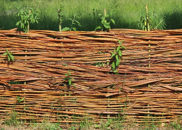 Wattle Fence Pasture Privacy — Stock Photo, Image