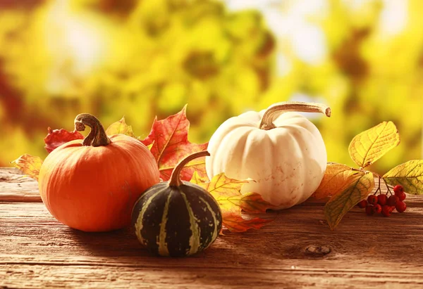 オレンジ 緑と白のカボチャとカラフルな秋の収穫は コピースペースと黄金の秋の庭で素朴な木製のテーブルの上に紅葉の間でカボチャ — ストック写真