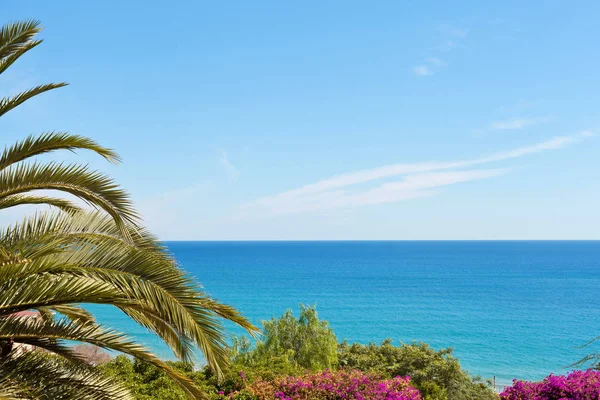 Paisagem Mar Mediterrâneo Com Vegetação — Fotografia de Stock