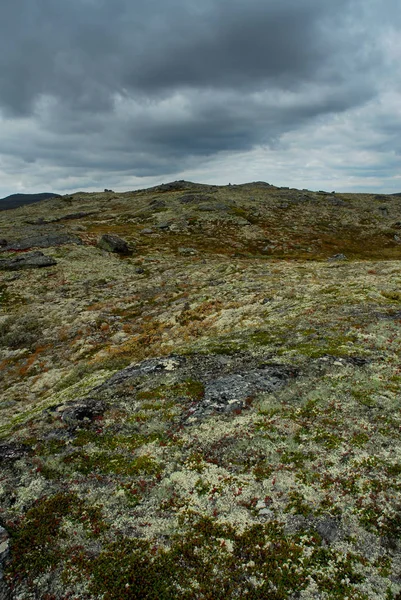 Noruega Sobre Paisagem Natural Fundo — Fotografia de Stock