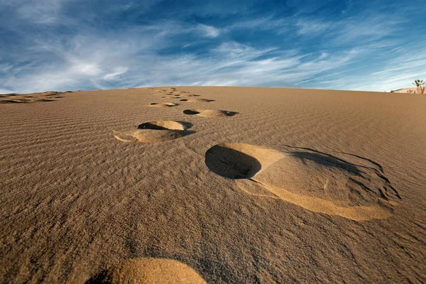 Öken Sand Yta Geologi — Stockfoto