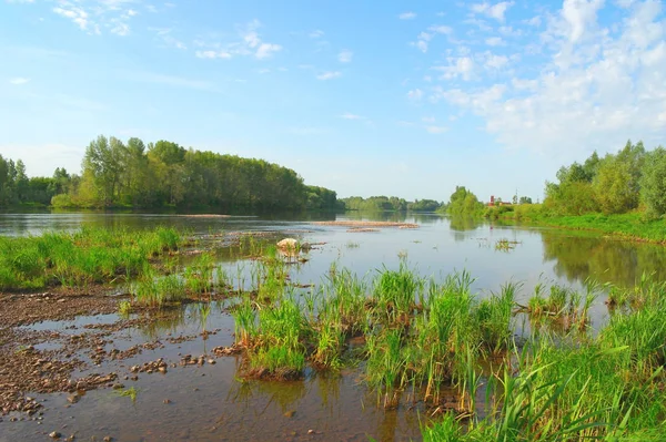 Schöne Sommerlandschaft Mit Fluss Und Hektik — Stockfoto