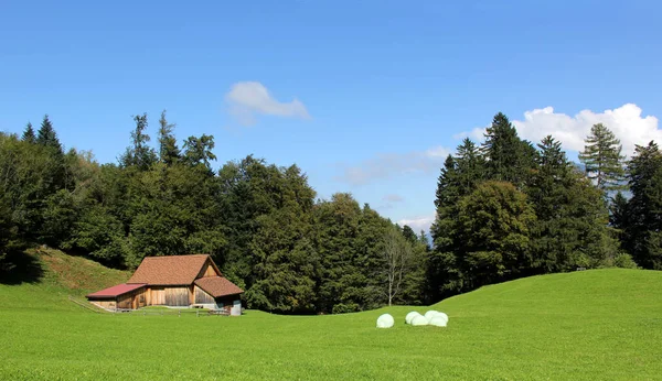 Alpine Idyll Στην Ελβετία — Φωτογραφία Αρχείου