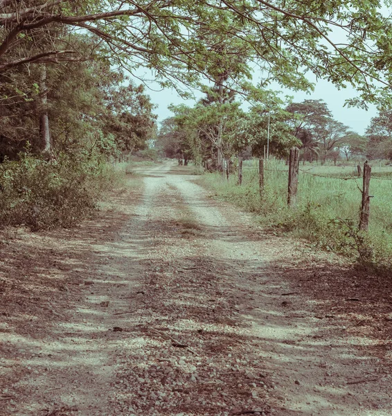 Estrada Fazenda Cor Estilo Retro — Fotografia de Stock
