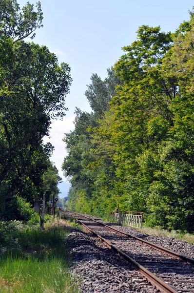 สายรถไฟสาขาในโดม — ภาพถ่ายสต็อก