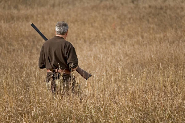 Avcı Elinde Tüfekle Uzun Çimenlerde Yürüyor — Stok fotoğraf