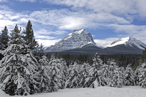 Paesaggio Invernale Delle Montagne Rocciose — Foto Stock