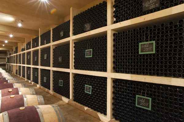 Wine Cellar Lebanon — Stok Foto