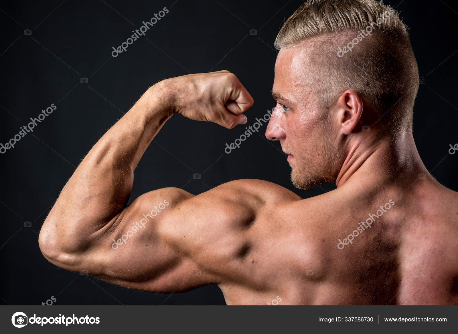 Bodybuilder Showing His Toned Biceps Stock Photo PantherMediaSeller 337586730