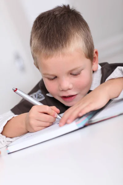 Portrait Little Boy Doing Homework — Stock Photo, Image