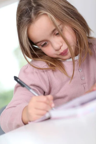 Portrait Grade Schooler Doing Homework — Stock Photo, Image