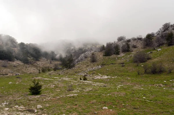 Hermosa Vista Naturaleza — Foto de Stock