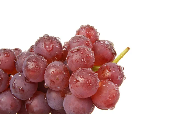 Виноградні Ягоди Виноградні Плоди — стокове фото