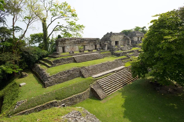 パレンケ チアパス メキシコのマヤ遺跡 — ストック写真