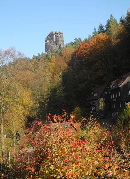 Podzimní Les Přírodním Pozadí — Stock fotografie