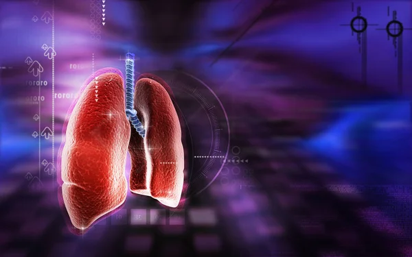 Digital Illustration Human Lungs Colour Background — Stock Photo, Image